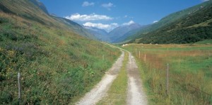 Rural hospitals at a crossroads as margins weaken (healthcarefinancenews.com)