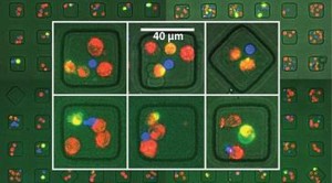 How Bioinformatics Could Find The Next Breakthrough Cancer Drug (forbes.com)