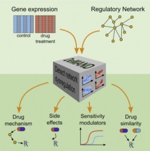 Algorithm uses a computational model of the human body’s protein networks. (specialtypharmacytimes.com)