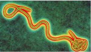 Ebola vaccine is ‘potential game-changer’ (bbc.com)