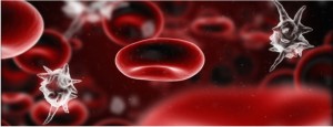 Sepsis: 4 things formulary managers can do to save lives, resources (formularyjournal.modernmedicine.com)