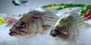 AstraZeneca’s lauded ‘Take it From a Fish’ campaign scores again at Clio Healthcare awards (fiercepharmamarketing.com)