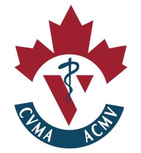 A new decision tree for veterinarians – The latest tool for fighting antibiotic resistance (canadiancattlemen.ca)