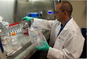 The Real Story Behind Biotech’s Plunge and How to Profit (thestreet.com)