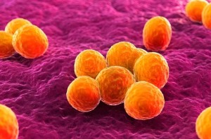 MRSA treatment could be transformed by new precision drug therapy (theguardian.com)