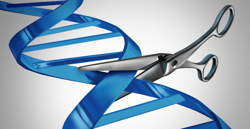 Scientists unveil the ‘most clever CRISPR gadget’ so far (statnews.com)