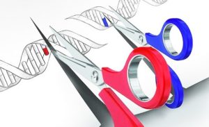 The gene editor CRISPR won’t fully fix sick people anytime soon. Here’s why (sciencemag.org)