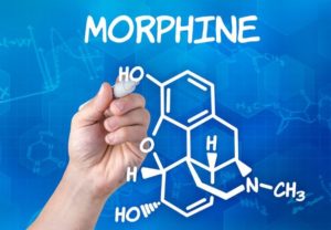 Why taking morphine, oxycodone can sometimes make pain worse (sciencemag.org)