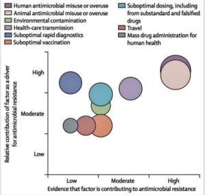 New incentives needed to develop antibiotics to fight superbugs (reuters.com)