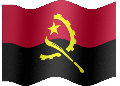 Fake vaccination papers let yellow fever spread in Angola (reuters.com)