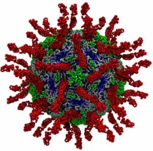 India to vaccinate 300,000 children after polio strain found in sewage (reuters.com)