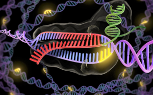 CRISPR Patent Outcome Won’t Slow Innovation (technologyreview.com)