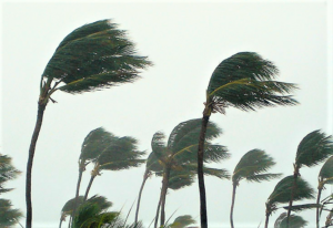 Pharmacies front and center as Florida preps for Hurricane Irma (pharmacist.com)