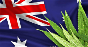 Australia to permit medicinal cannabis exports in bid to capture lucrative market (reuters.com)