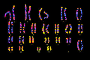 Predicting the Risk for Five Deadly Diseases (ptcommunity.com)