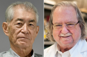 Scientists behind game-changing cancer immunotherapies win Nobel medicine prize (reuters.com)