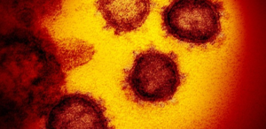 US begins first study of coronavirus treatment, testing Gilead’s remdesivir (flickr.com)