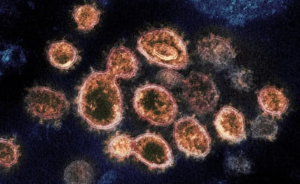 Google’s coronavirus screening website is live, but it’s not the resource you want (bgr.com)