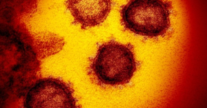 What we know about drugmakers’ response to the new coronavirus (biopharmadive.com)