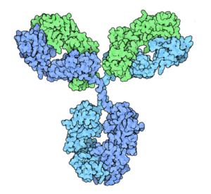 ‘Directing’ evolution to identify potential drugs earlier in discovery (sciencedaily.com)