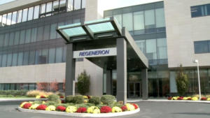 Regeneron, following in Lilly’s footsteps, wins FDA emergency nod for COVID-19 antibody cocktail (fiercepharma.com)