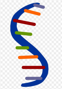 mRNA Vaccines Prove Their Worth Against COVID-19 Variants (biospace.com)