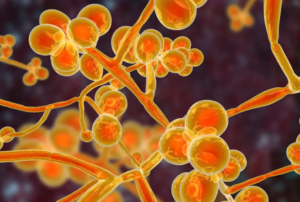 ‘Superbug’ outbreaks reported at Nevada hospitals, nursing facilities (reviewjournal.com)